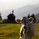 Haus Berta, Montafon Apartamento