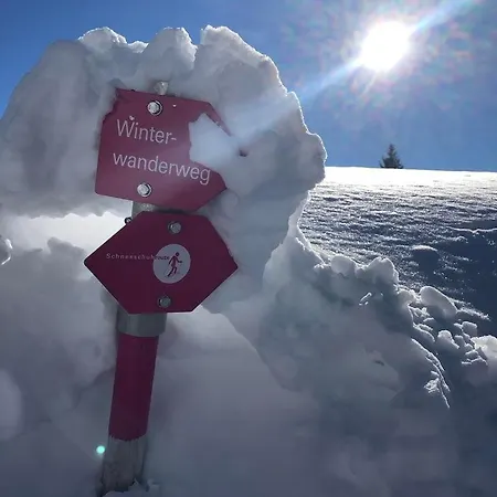 Haus Berta, Montafon Lejlighed Partenen