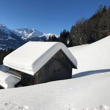 Haus Berta, Montafon *
