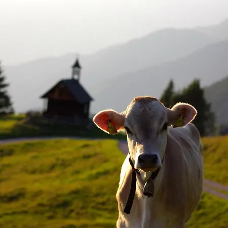 Haus Berta, Montafon شقة