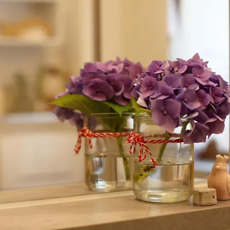 Haus Berta, Montafon Partenen