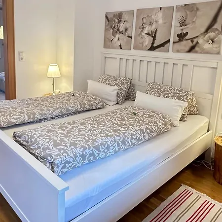 Haus Berta, Montafon شقة بارتنين