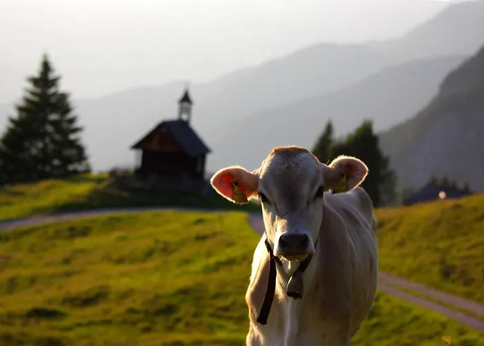 Haus Berta, Montafon 公寓