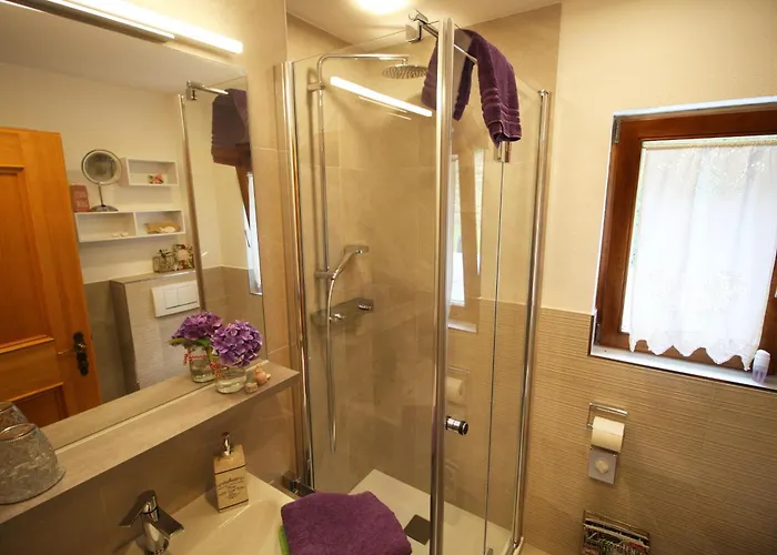 公寓 Haus Berta, Montafon 帕尔特嫩