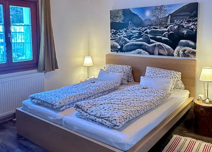 Haus Berta, Montafon * 帕尔特嫩